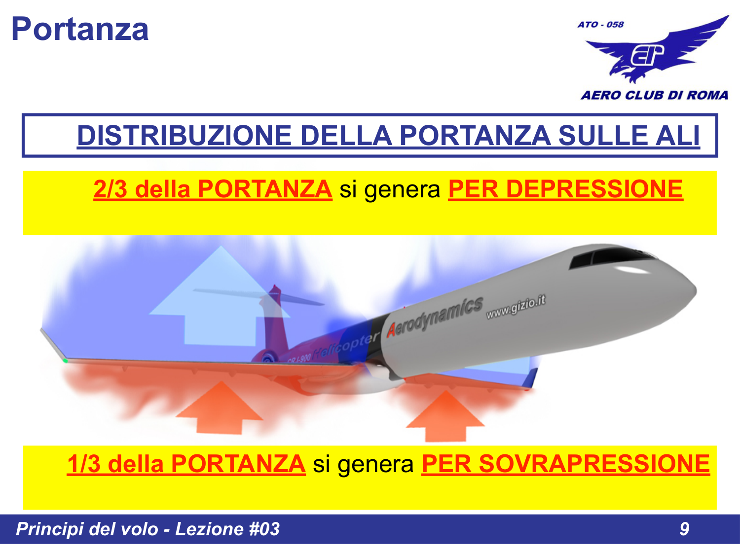 Distribuzione della Portanza sulle Ali