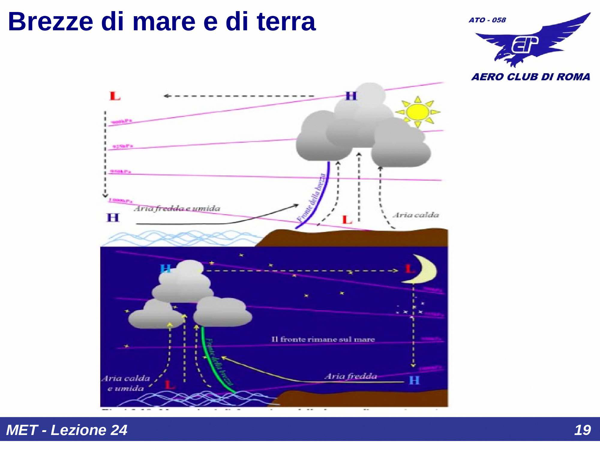 Alisei e celle di circolazione