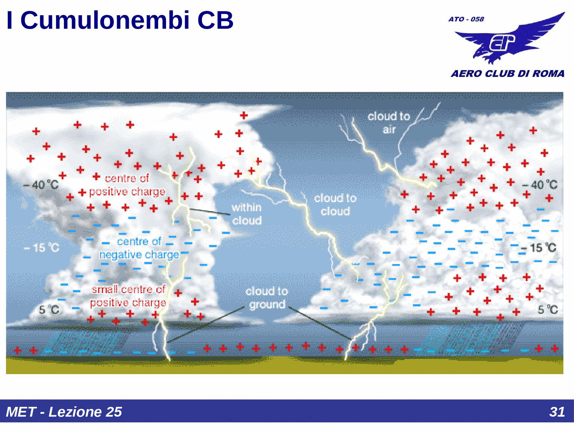 Anatomia Cb
