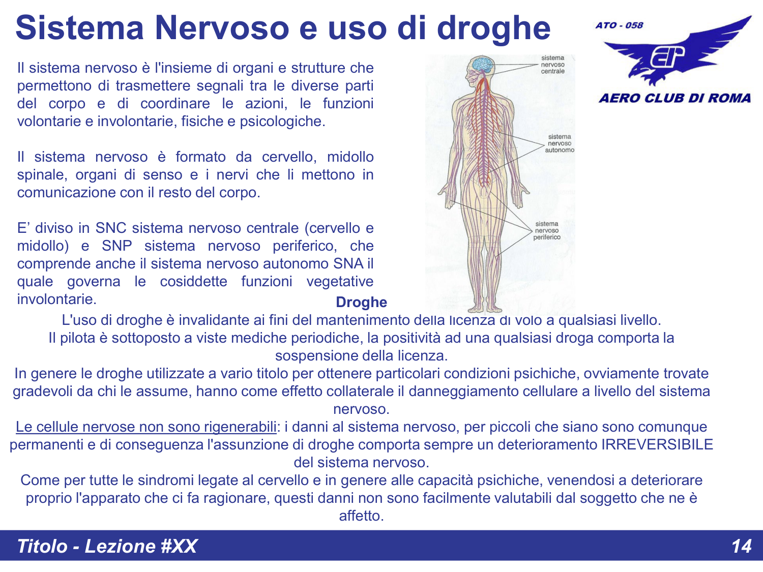 Sistema nervoso e droghe