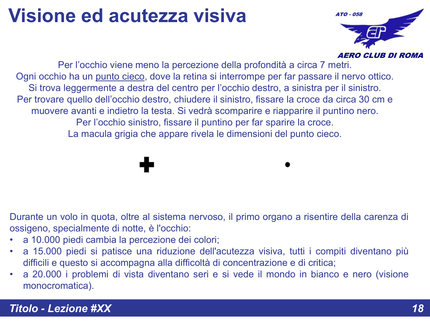 Acutezza visiva e punto cieco