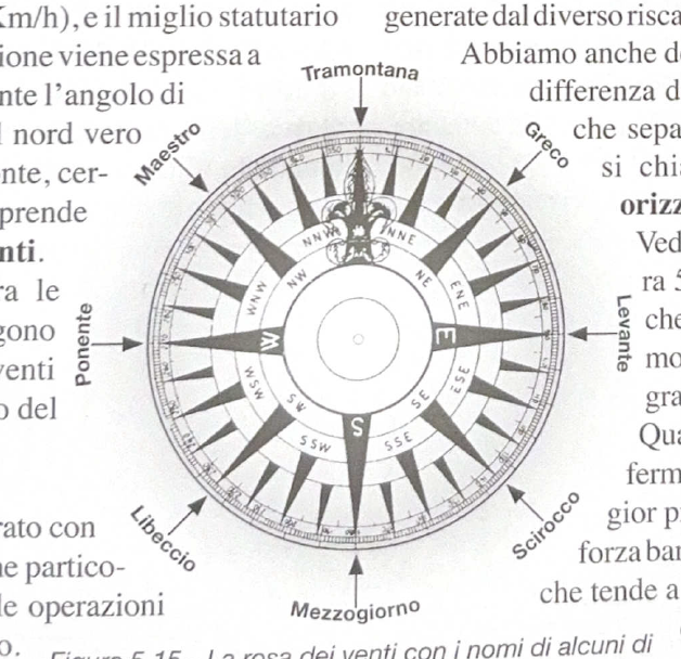 Figura 5.15 - Rosa dei venti