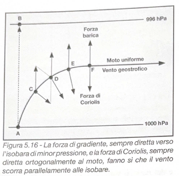 Figura 5.16 - Forze sul vento